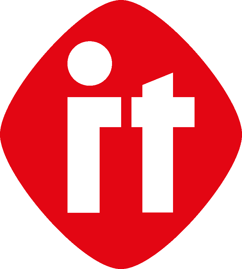 Netzleiter IT Logo